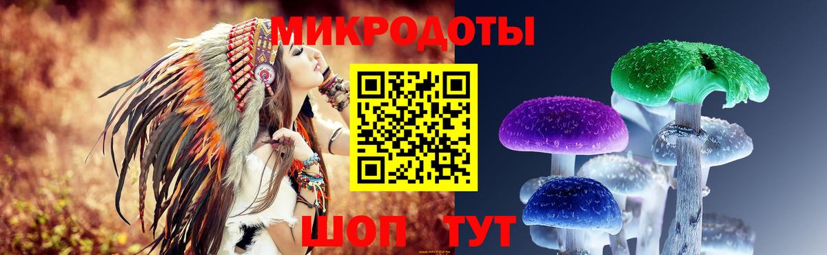 Северобайкальск  как найти   Галлюциногенные грибы мухоморы  Вход с VPN  Псилоцибиновые грибы прущие грибы 