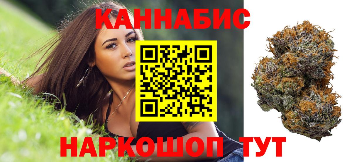 Каннабис индика Северобайкальск